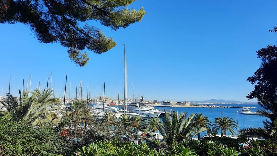 PALMA DE MALLORCA & SOLLER MIT BAHN & STADTFÜHRUNG ab Palma - What I think you’re really paying for at $117