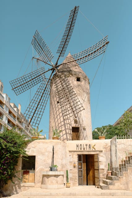 Palma de Mallorca: Spanish Cooking Experience - Key points that make this class a smart Palma pick