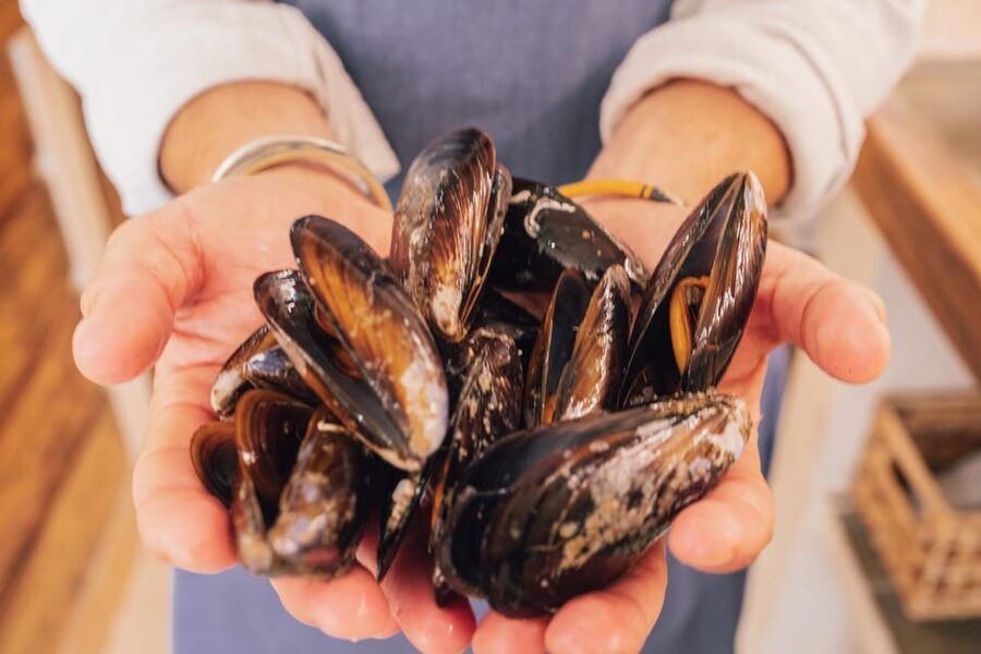 Palma de Mallorca: Spanish Cooking Experience - What you’ll take home (besides an empty plate)
