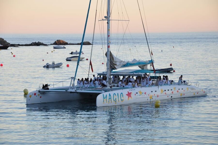 Palma de Mallorca: Sunset Sailing Catamaran Trip with Drink - What You’ll See: Palma, the Cathedral Area, and the Bay at Sunset