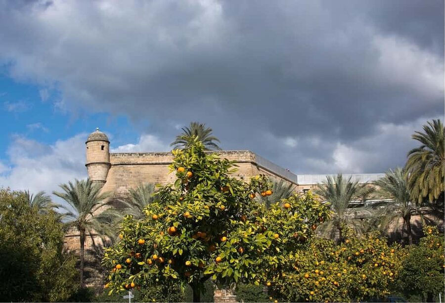 Palma de Mallorca: Walking Tour, Cathedral & Local Tasting - Who Should Book This Tour (and Who Might Not)