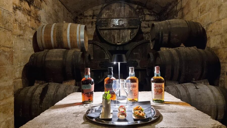 Palma: Distillery Tour with 3 Spirits and Tapas Tasting - Palma’s Suau distillery underground: what you’re really signing up for