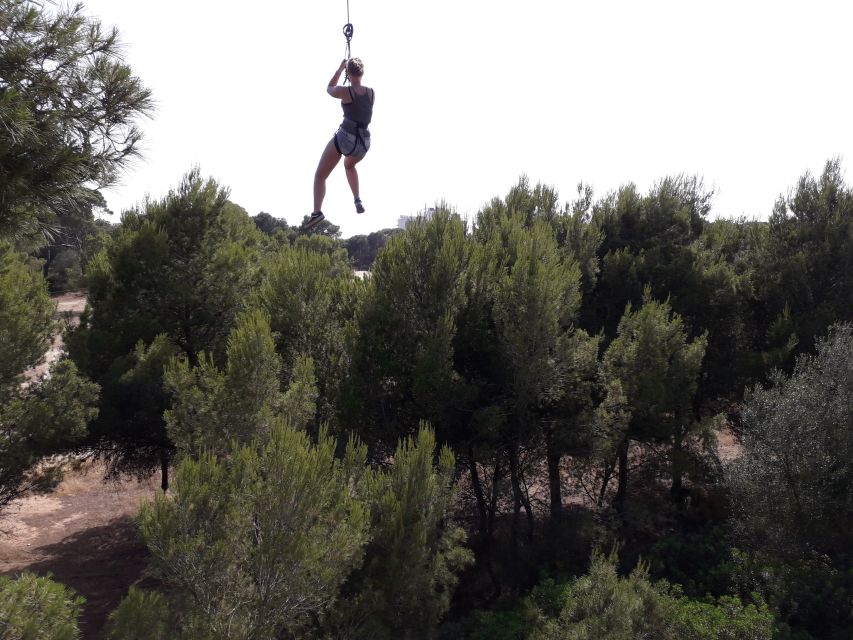Palma: Family or Sports Course Adventure at Forestal Park - Timing your 2–3 hours: how to plan your Palma day