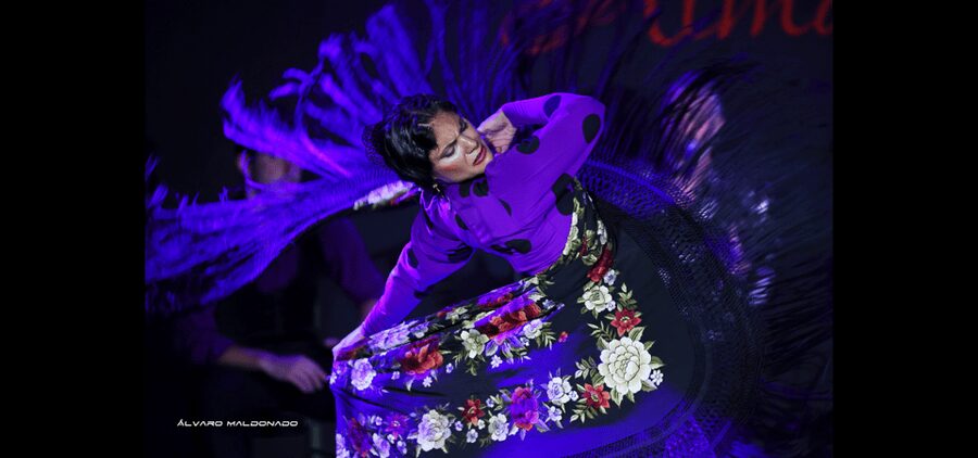 Palma: Flamenco Show at Tablao Flamenco Alma with Drink - A practical plan for your Palma evening