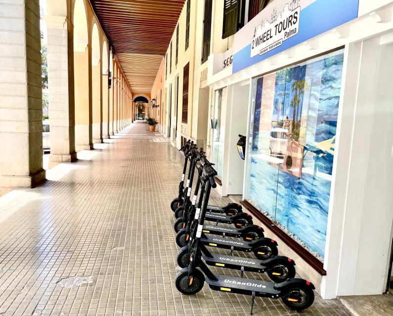 Palma: Guided 1.5 H city tour on Electric scooter - Palma Cathedral’s stained glass: the stop that people actually remember