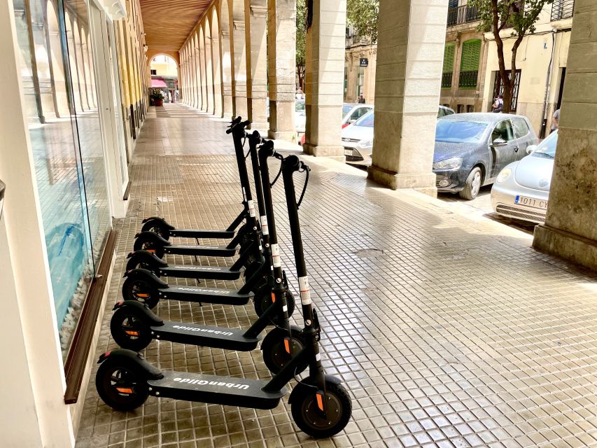 Palma: Guided 1.5 H city tour on Electric scooter - La Lonja de Palma: Gothic architecture you can spot in motion