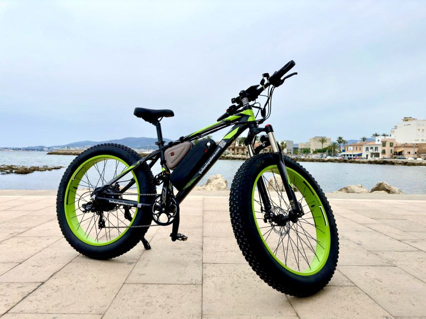 Palma: Guided City Tour with a Fat Tire E-Bike - The Cathedral Stop: Why It’s Called the Cathedral of Light