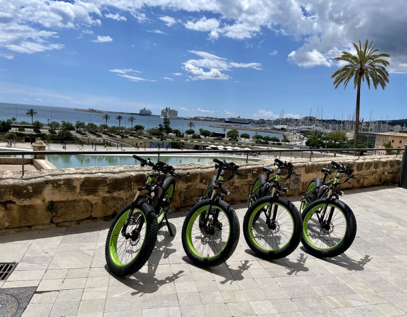 Palma: Guided City Tour with a Fat Tire E-Bike - Portixol: Cafés, Water Views, and Local Energy