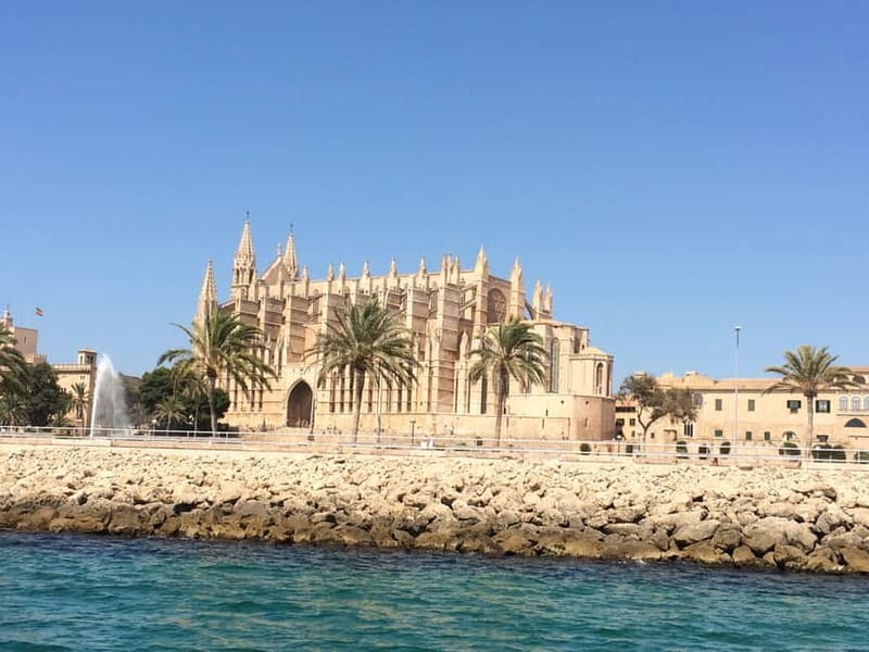 Palma Old Town Insider Tour with visit of the Cathedral - The guide factor: short, lively, and focused