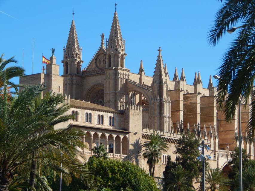 Palma: Old Town Walking Tour & Cathedral Skip-the-Line - The Cathedral of Mallorca: skip-the-line entry, then guided meaning