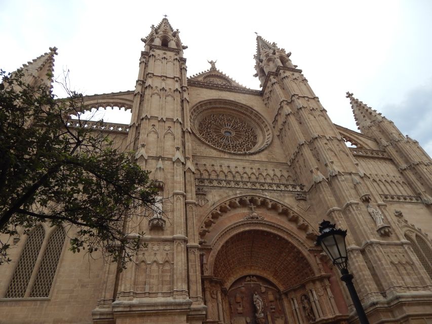 Palma: Old Town Walking Tour & Cathedral Skip-the-Line - Where you meet and how the tour starts smoothly