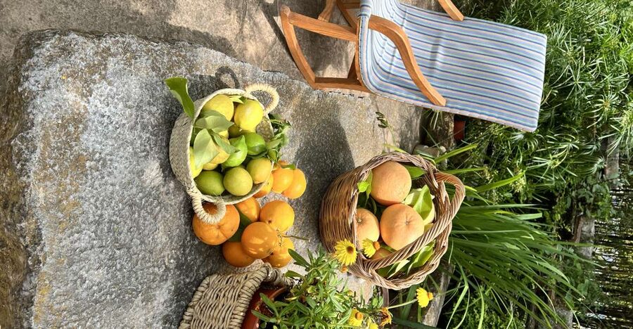Palma: Orange Valley Vintage Train and Orange Farm Tour - Key things to know before you go