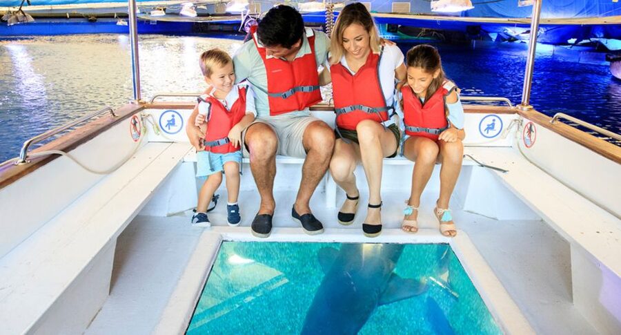 Palma: Palma Aquarium Ticket with Transfer Service - Big Blue: the deep-shark tank that anchors the whole visit