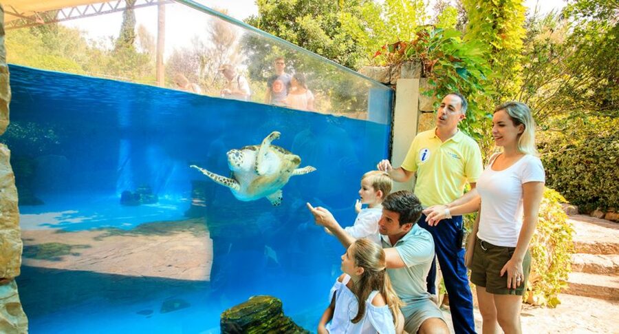 Palma: Palma Aquarium Ticket with Transfer Service - Optional add-ons you may see on site: 3D Cinema and Shark Vision Boat
