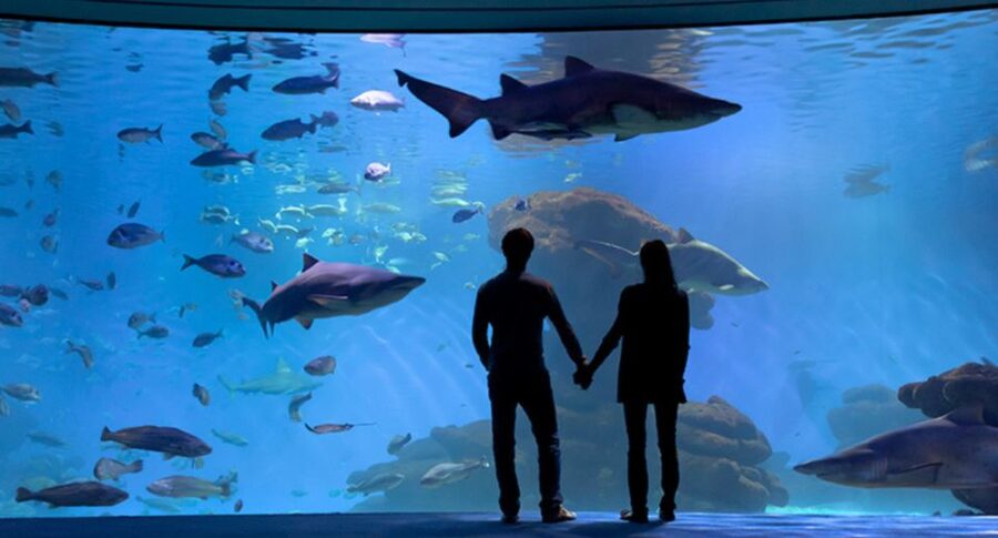 Palma: Palma Aquarium Ticket with Transfer Service - Eating and timing: how to avoid the rushed feeling