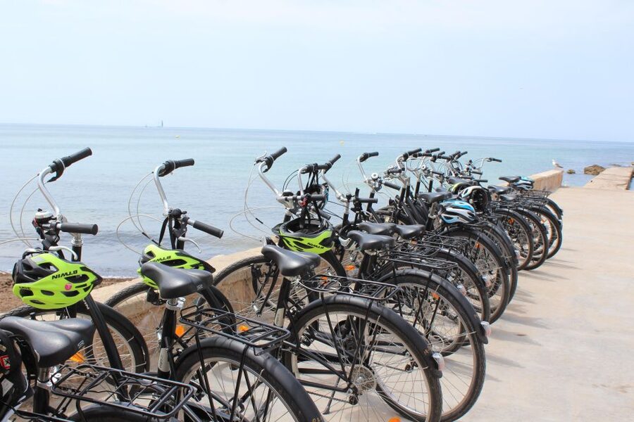 Palma Shore Excursion Bike Tour (Transfer Included) - Viewpoints, City Walls, and Photo Timing
