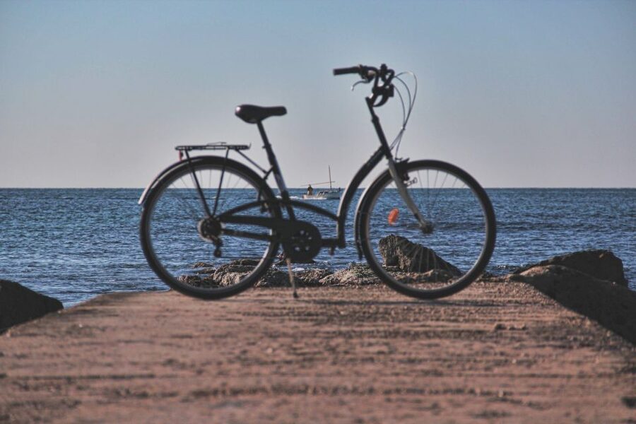 Palma Shore Excursion Bike Tour (Transfer Included) - The Built-In Sanity Check: On-Time Return to the Ship