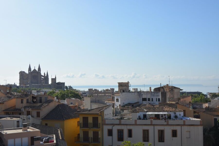 Palma Shore Excursion Bike Tour (Transfer Included) - Who This Tour Fits Best (and Who Might Not Love It)
