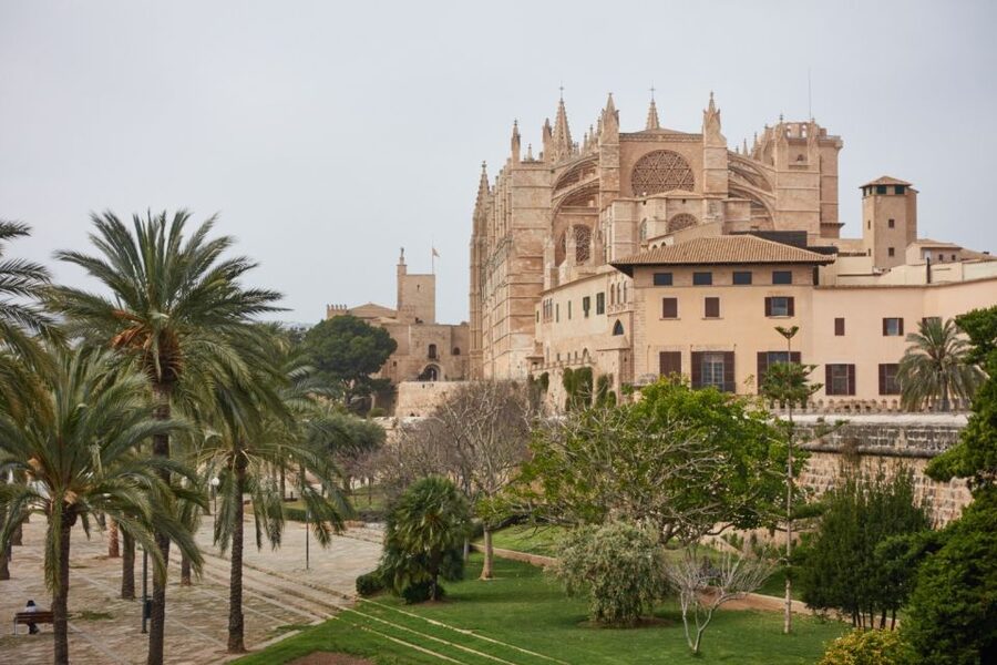 Palma: Walking Tour with Mediterranean Delicacies - Price and value: $347 per group up to 4