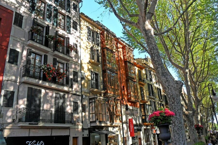 Palma: Walking Tour with Mediterranean Delicacies - Paseo del Borne and aristocracy streets: romance with receipts
