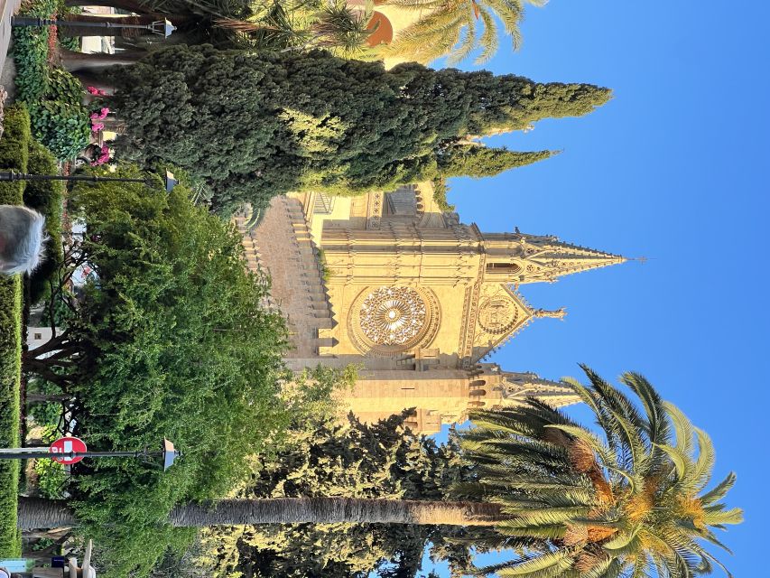 Palmas sightseeing highlights in a private and exclusive way - Key things I’d circle before you go