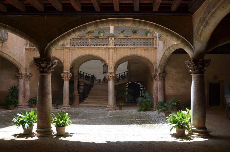 Palmas sightseeing highlights in a private and exclusive way - Lively squares: where you learn the city’s daily rhythm