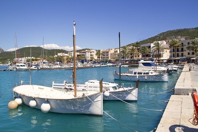 Paradise 4h Catamaran Tour of Mallorca and Puerto Andratx - Stop 3: Camp de Mar for a Second Swim (and a Weather Plan)