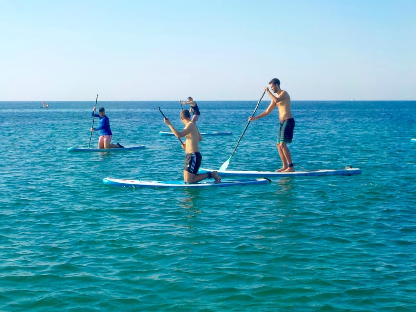 Playa Palma: Stand-up Paddleboard Rental - Weather, water mood, and what to expect in the bay