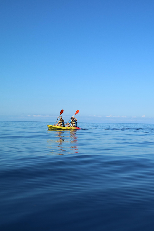 Pollença: Kayak and Coasteering Cliff Jumping - Quick hits you’ll actually care about