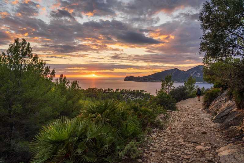 Port Andratx: Guided hiking tour into the sunset to Sant Elm - Key highlights you should know
