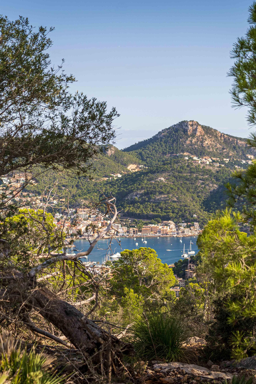 Port Andratx: Guided hiking tour into the sunset to Sant Elm - Should you book this Port Andratx sunset hike to Sant Elm?