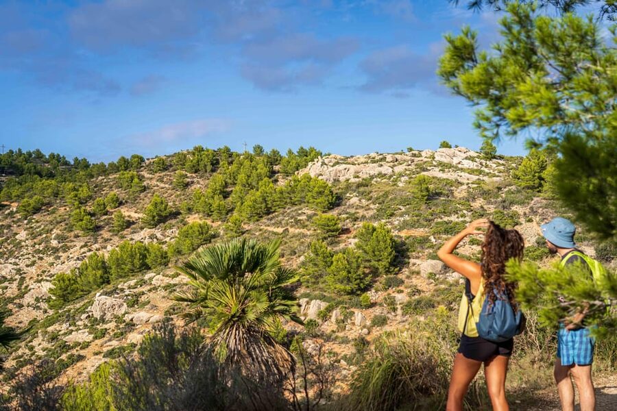 Port Andratx: Guided hiking tour into the sunset to Sant Elm - The sunset viewpoint picnic: Majorcan tapas and a guided moment