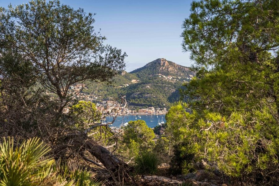 Port Andratx: Guided hiking tour into the sunset to Sant Elm - Heading down to Sant Elm: twilight descent and an easy finish
