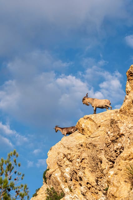 Port Andratx: Guided hiking tour into the sunset to Sant Elm - Price and value: is $93 worth it for 4.5 hours?