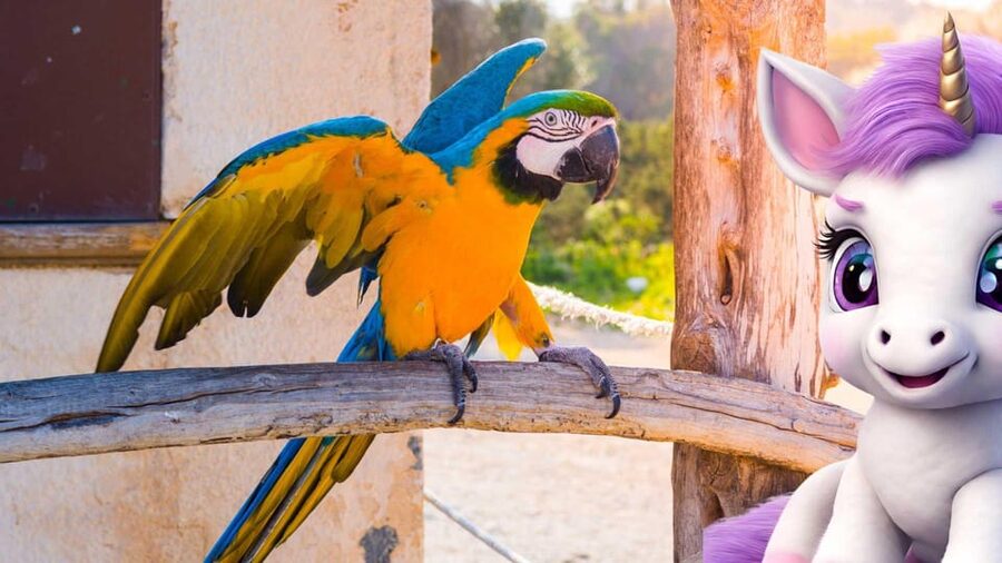 Port d'Alcudia: Meet the Magical Creatures,family game &walk - Who should book this, and who might skip it