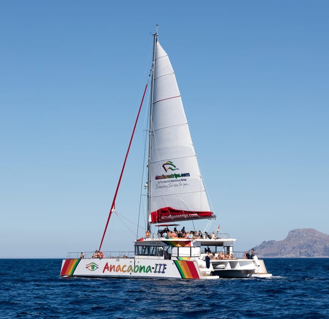 Port d'Alcudia: North Coast Catamaran Cruise with Meal - Who should book this catamaran cruise in Alcúdia