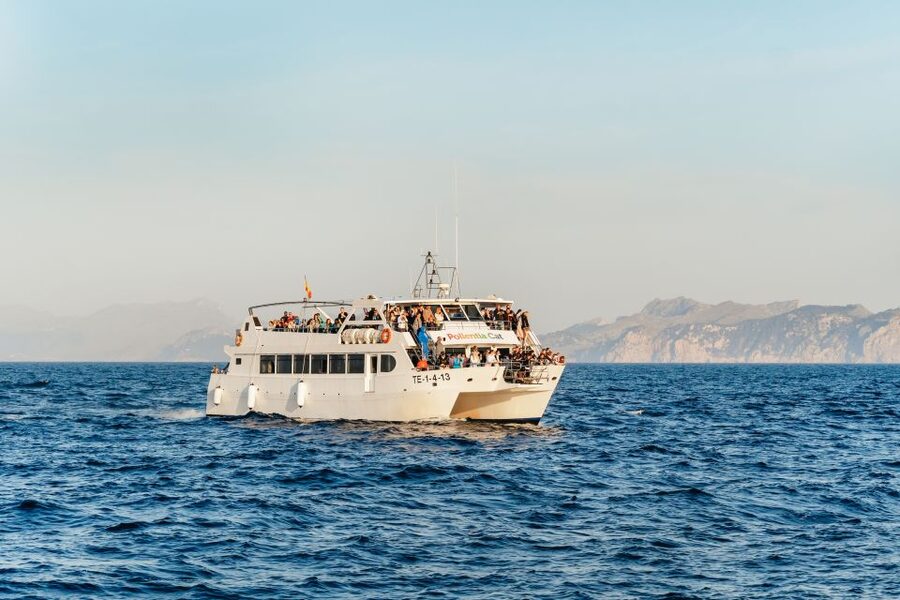 Port d'Alcudia: Sunrise at Sea & Dolphin Watching Boat Tour - Why Alcúdia’s sunrise dolphin trip is worth the early wake-up