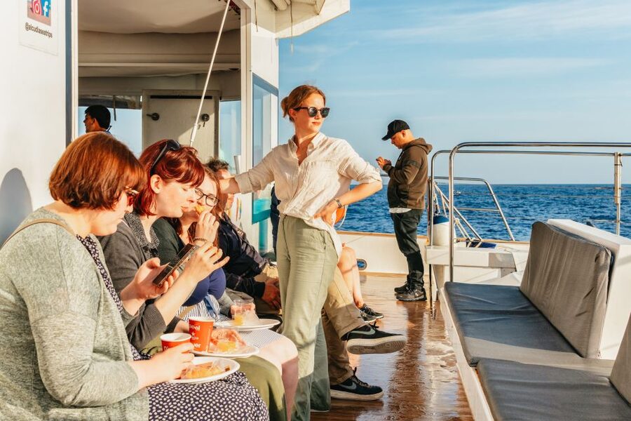 Port d'Alcudia: Sunrise at Sea & Dolphin Watching Boat Tour - What I love (and what you should plan for) on the boat itself