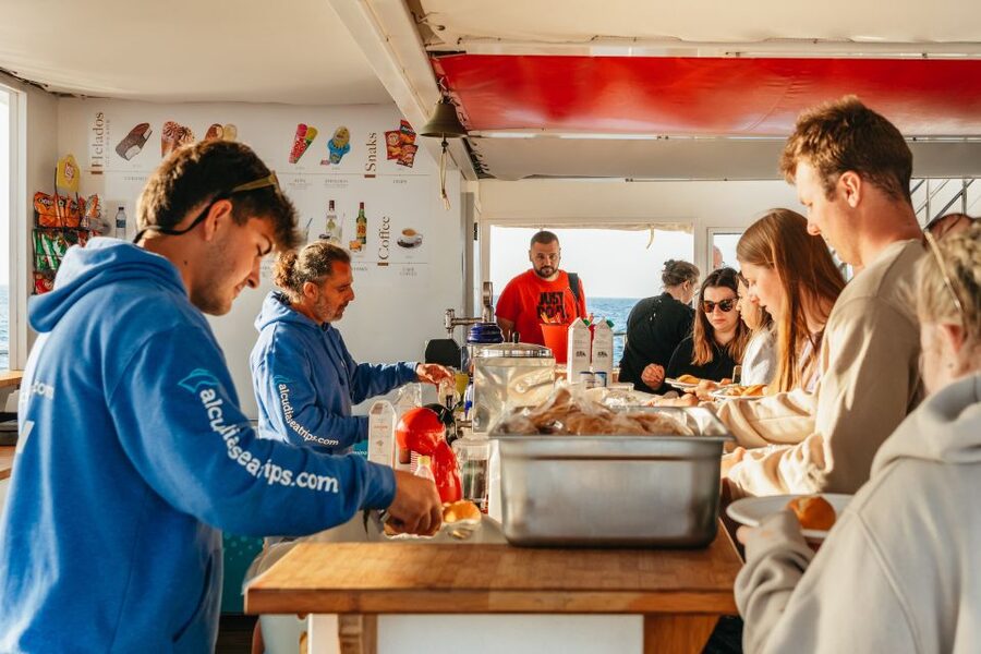 Port d'Alcudia: Sunrise at Sea & Dolphin Watching Boat Tour - Price and value: is $69 a fair deal?