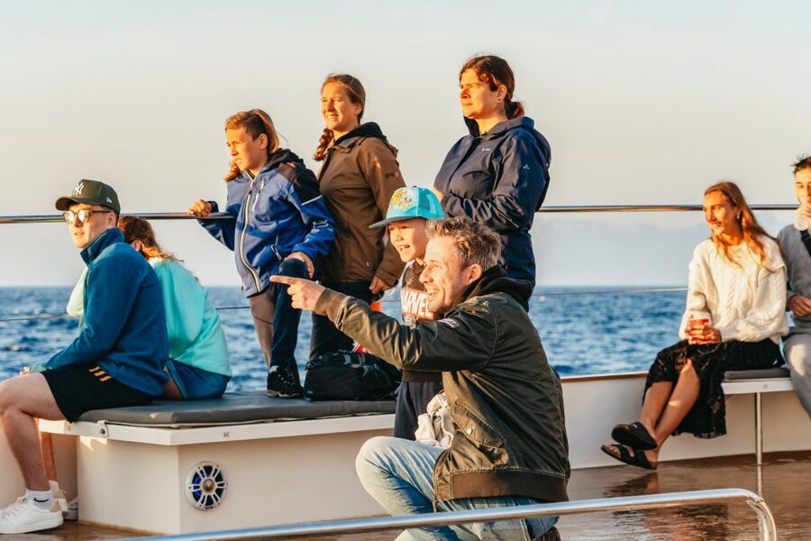 Port d'Alcudia: Sunrise at Sea & Dolphin Watching Boat Tour - Who this tour fits best (and who might skip it)