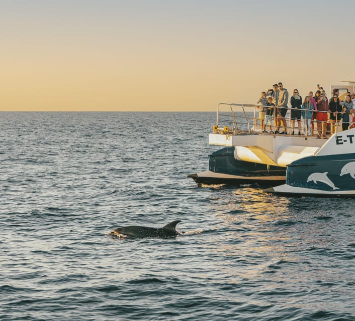 Port d'Alcudia: Sunrise at Sea & Dolphin Watching Boat Tour - The 3-hour flow: from boarding to breakfast
