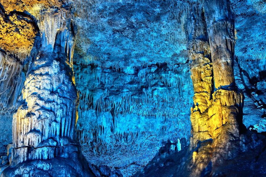 Porto Cristo: Caves of Hams Entry Ticket - Round Cave and Botanical Garden: Birds, Micro-Climate, and a Different Pace