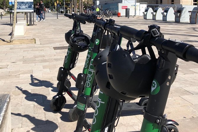 Premium electric Scooter rental with optional delivery - The Value Question: Is $216.04 Worth It?