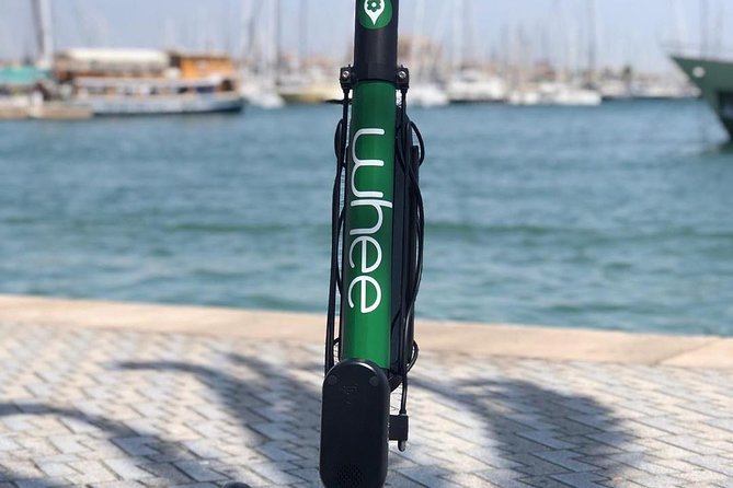 Premium electric Scooter rental with optional delivery - Who This Scooter Rental Fits Best