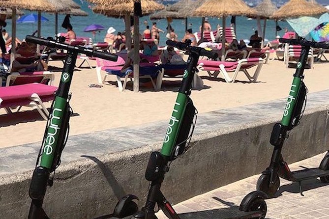 Premium electric Scooter rental with optional delivery - Should You Book WHEE eScooter Sharing and Private Rentals?