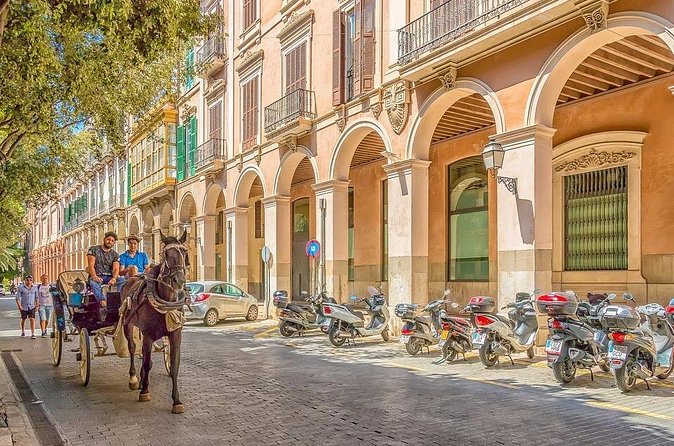 Private 4-hour tour of Palma de Mallorca w/ driver & guide (Hotel/port pick up) - Puerto de Sóller and Playa d’en Repic: a coastal reset in just half an hour