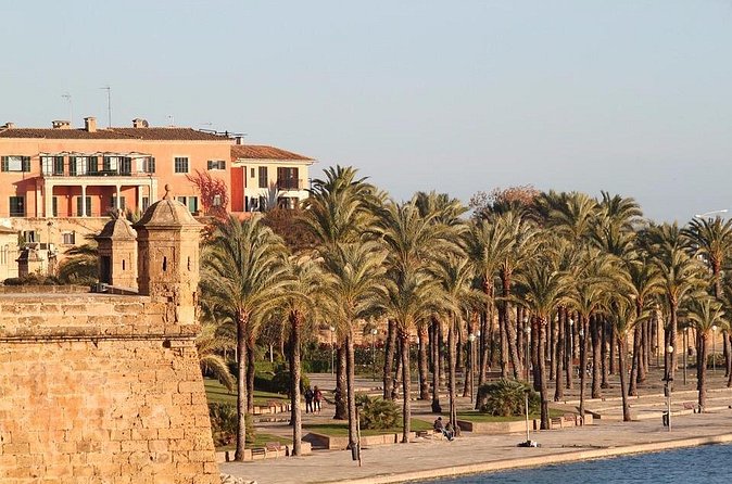 Private 4-hour tour of Palma de Mallorca w/ driver & guide (Hotel/port pick up) - Guides and personalization: why Santiago (Santi) gets mentioned so often