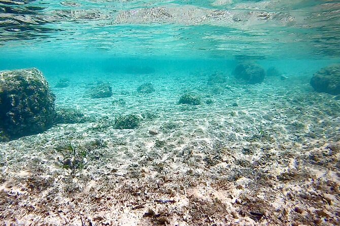 Private Boat Tour from Palma with Snorkeling and Paddle Surfing - Paddle surfing (SUP) included: your chance to explore on your own