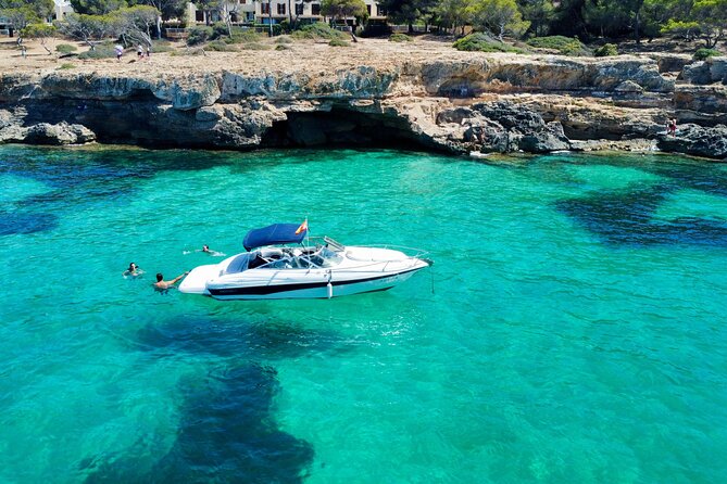 Private boat tour with snorkeling - Getting to D-Marin Palma Cuarentena and Staying on Time