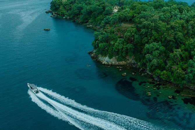 Private Half Day Cruise on a Speed Boat in Mallorca - Cala Ratjada for two hours: traditional port energy without the stress